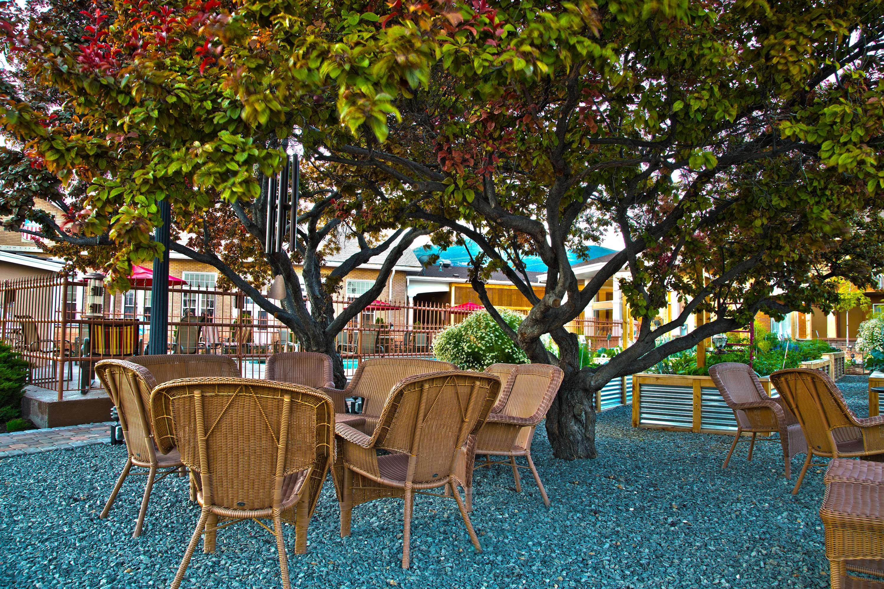 Best Western Plus Cedar City Kültér fotó